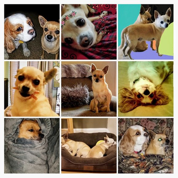 Meet your Posher, Jen - Picture 2 of 2